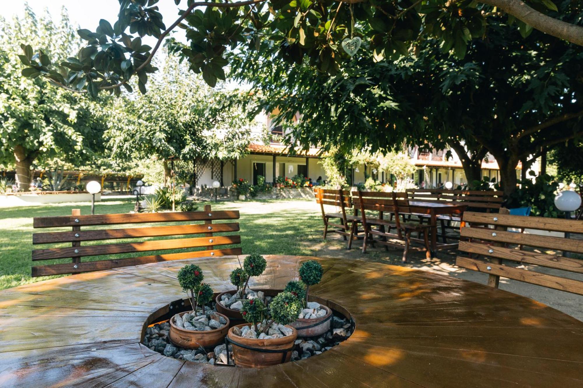 Katia Studios Sykia Chalkidikis Exterior photo