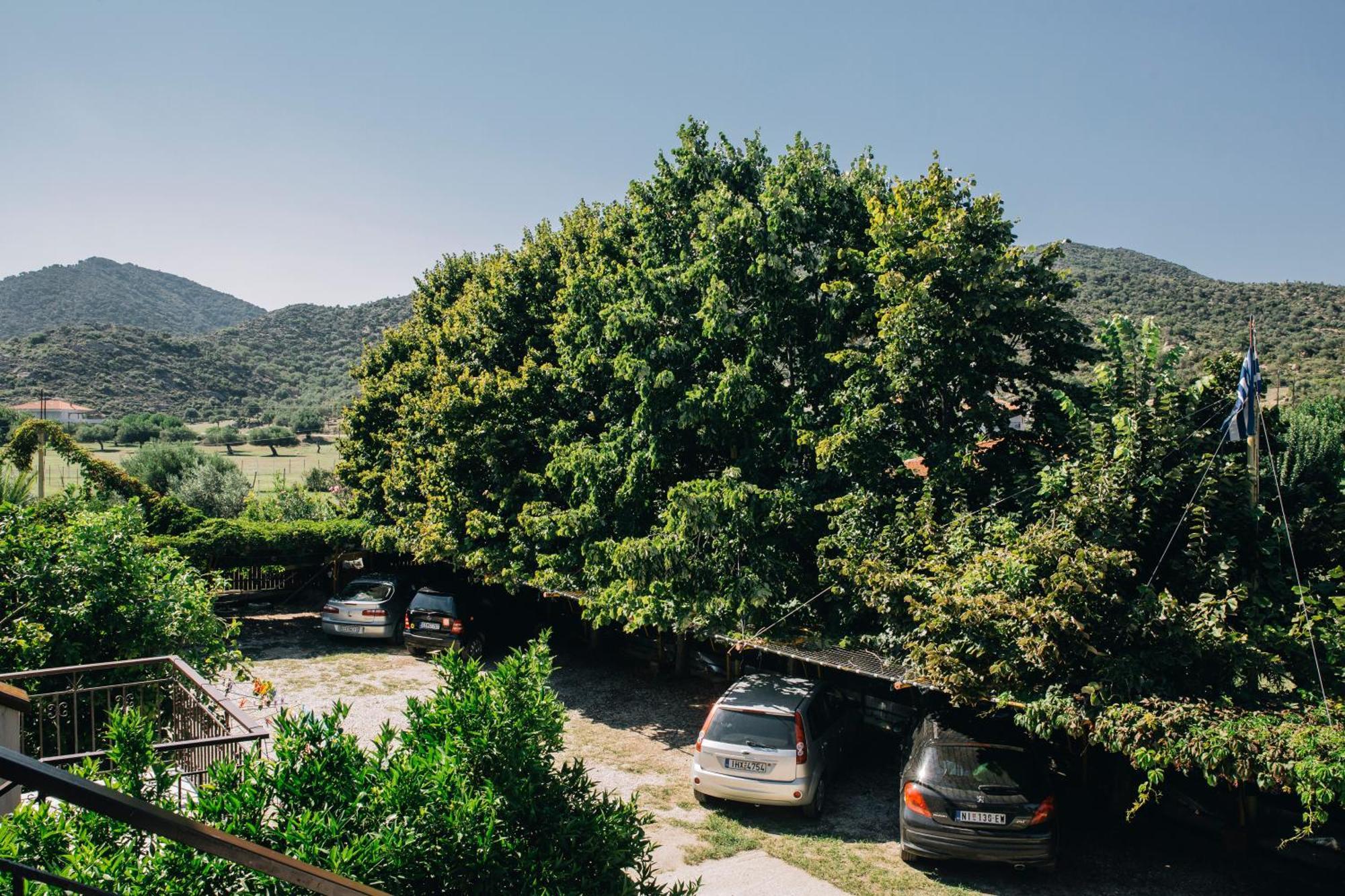 Katia Studios Sykia Chalkidikis Exterior photo